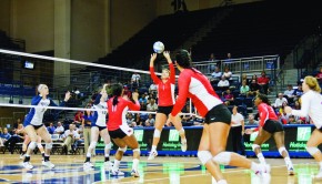 Under first-year coach Kaddie Platt, the Houston Cougars volleyball program is poised to take on a difficult schedule that includes matches against Ohio State, Missouri and Florida State among others. | File photo/The Daily Cougar