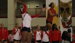 Chandice Tryon prepares for a serve. | File photo/The Daily Cougar