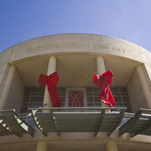 The bows like the ones on M. D. Anderson Memorial Library are to honor the donors for Thursday's Philanthropy Day. | Nichole Taylor/The Daily Cougar