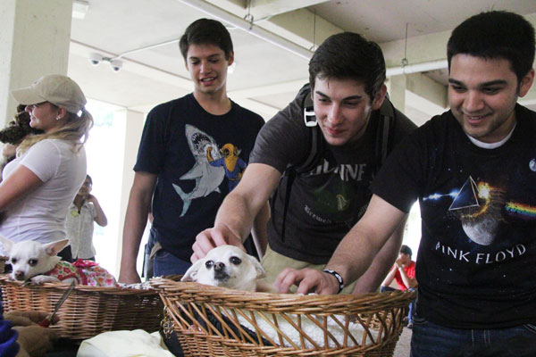 Finals Mania offers a solution for more than just hunger. In addition to serving pancakes and orange juice, Finals Mania organizers will let stressed-out students play with puppies. | Bethel Glumac