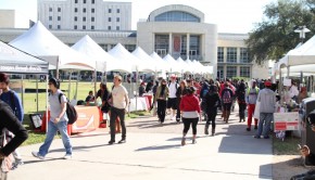 Student organizations at UH are now required to receive guidance from a faculty member. | Rebekah Stearns/The Daily Cougar