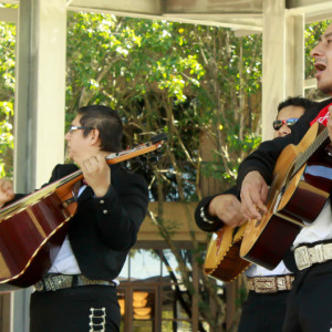 A traditional mariachi band entertained students as they took part in the Dia De Los Muertos a celebration of those who have passed that is common in Latin America. | Emily S. Chambers/The Daily Cougar