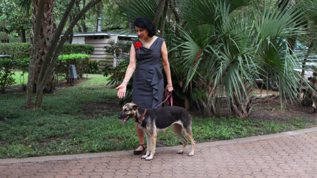 Stray dog president Renu Khator adopted named Ruby