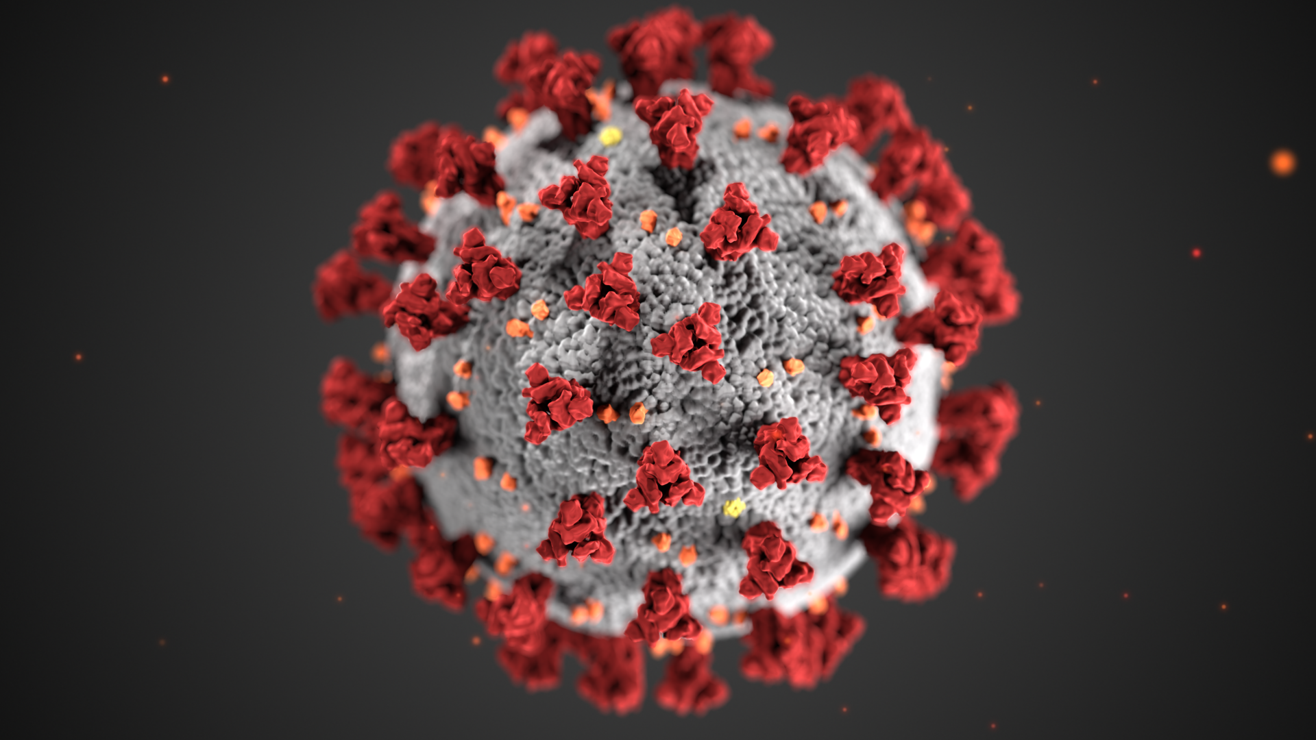 UHD associate professor Peter Li said strong government response is needed to take on the coronavirus outbreak, which has infected over 900 in the Houston area. | Courtesy of the Centers for Disease Control and Prevention