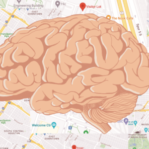 A brain on top of a map of Houston