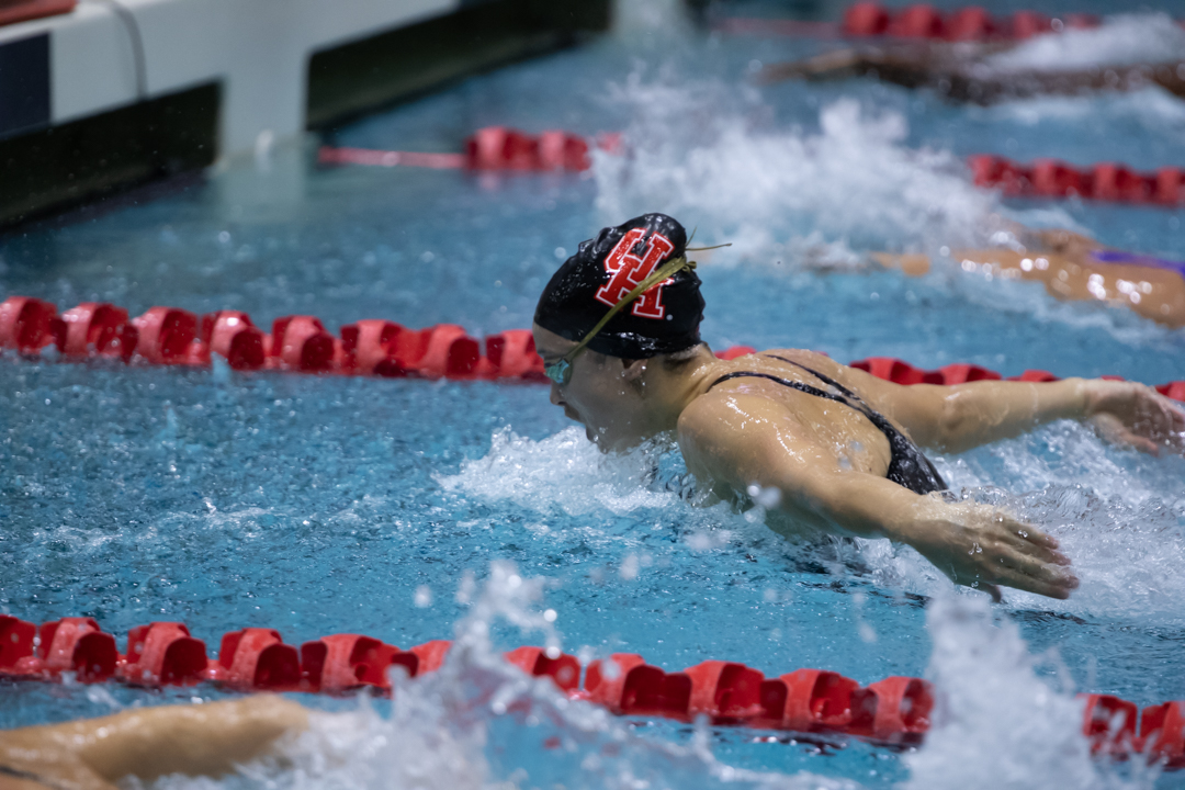 UH swimming and diving dominated the Phil Hansel Invitational.| Raphael Fernandez/The Cougar