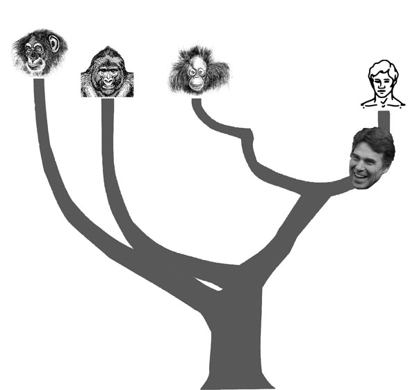 The Family Tree by Pedro Cervantes