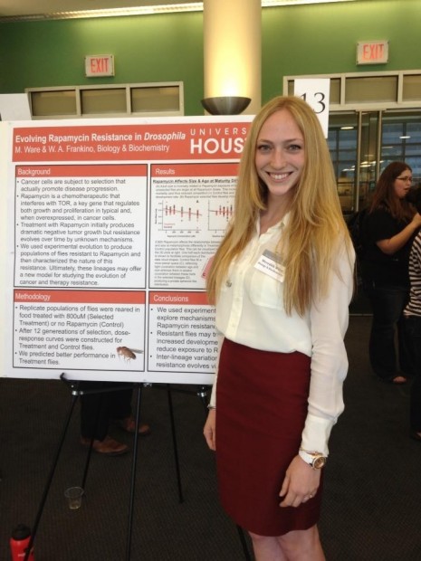 Biology junior Meredith Ware proved she is more than just an athlete in the Honors College’s undergraduate research fair. |  Courtesy of UH.edu 