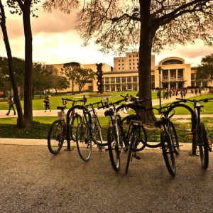 Residential Life and Housing will charge a fee of $20 to remove bicycles from undesignated areas, according to its website. | Jack Chaiyakhomw /The Daily Cougar