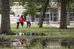 A swamp developed in front of Cougar Woods Dining Hall. | Photos by Justin Tijerina/The Cougar