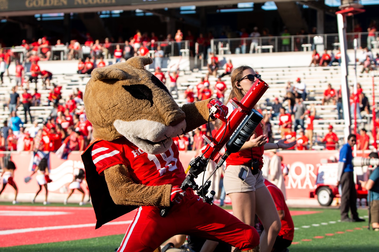 Shasta's naming is one of the many interesting tidbits of UH traditions and history. | File photo/The Cougar