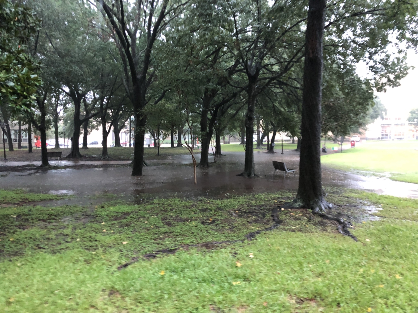 Several parts of campus were covered in standing water that students were walking through. | Trevor Nolley/The Cougar