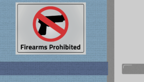 Constitutional carry infringes on the right to safety
