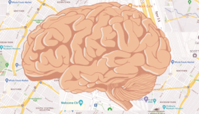 A brain on top of a map of Houston
