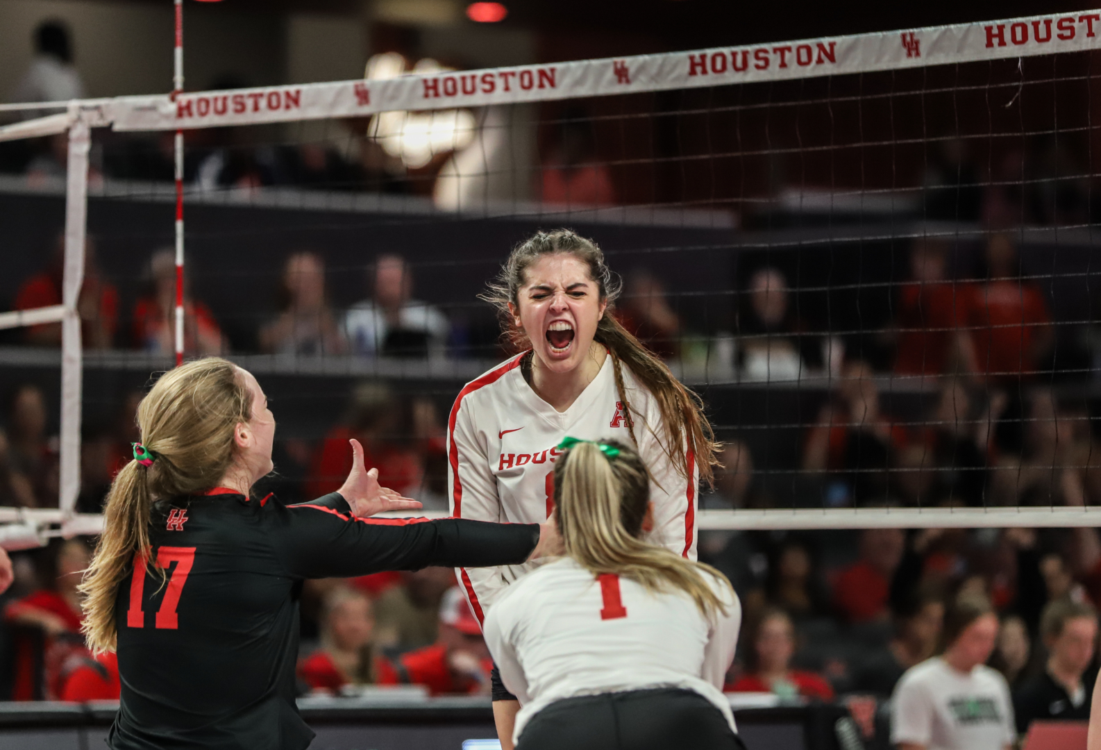 For the first time since 2003, UH volleyball beat a ranked opponent as the Cougars knocked off No. 23 UCF on Friday night at Fertitta Center. | Sean Thomas/The Cougar