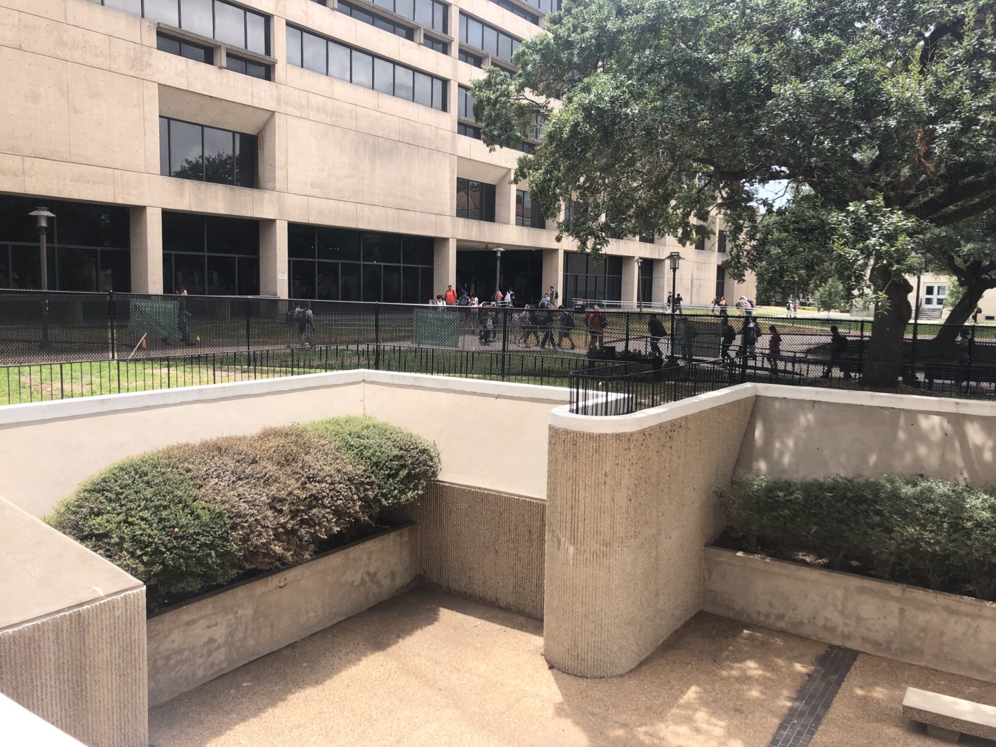 A picture of the pathway leading up to Agnes Arnold Hall on UH campus. After infrastructure upgrades, black metal fencing was added bordering the path.