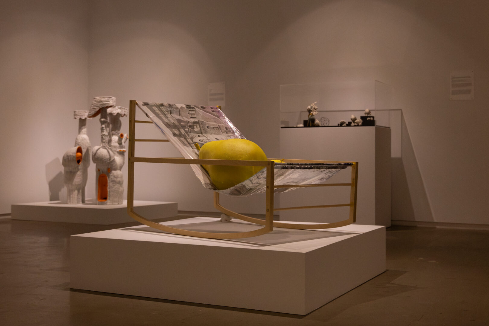 Blaffer Art Museum exhibitions explore identity, history